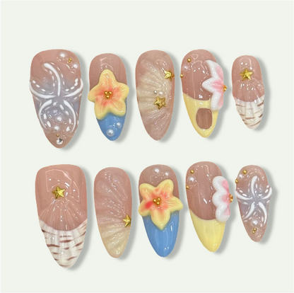 Ocean Shells