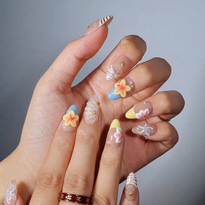 Ocean Shells