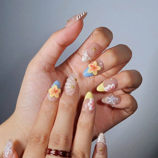 Ocean Shells